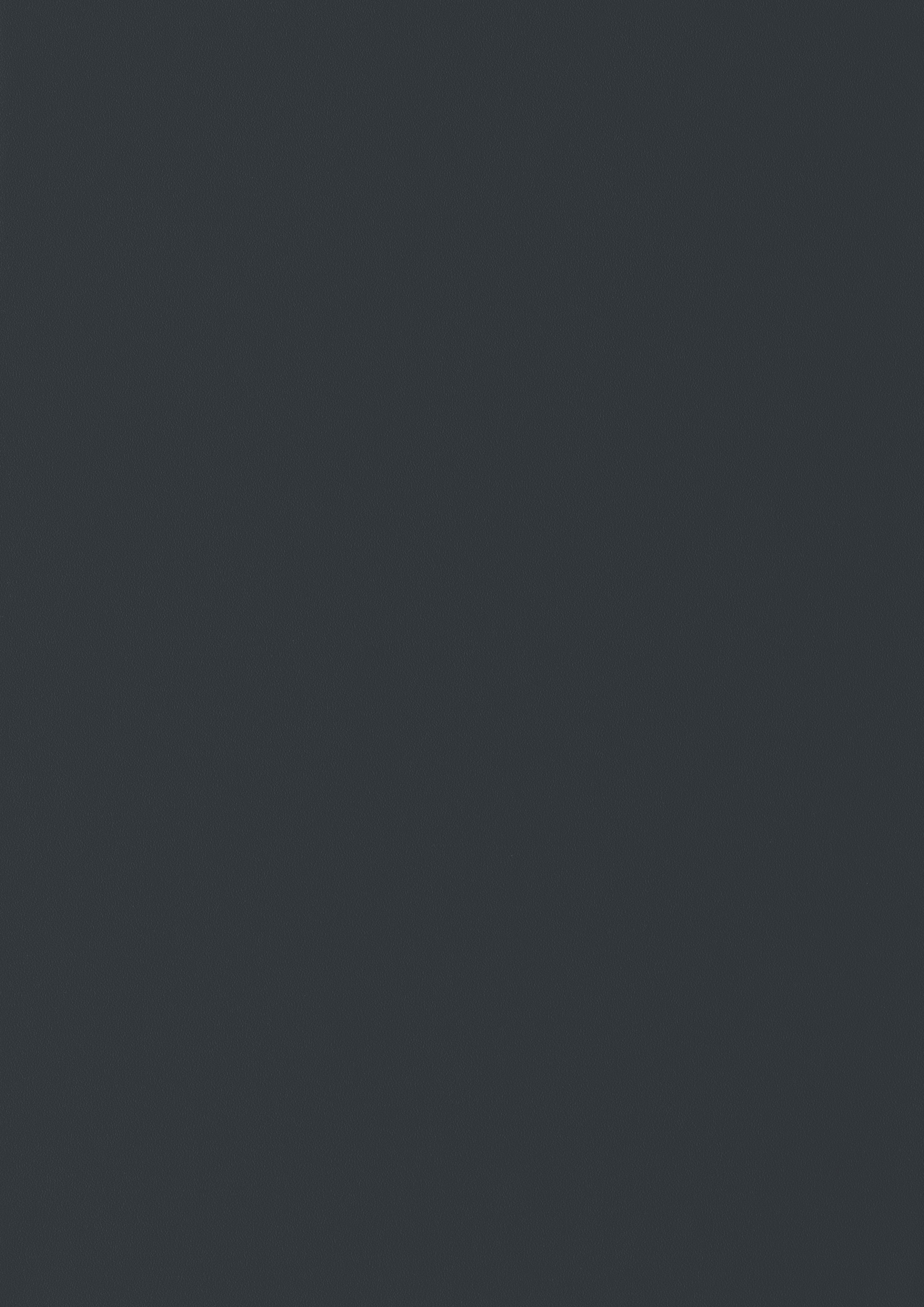 Gris Ardoisé RAL 7015 (LIsse)