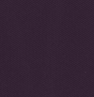 Clipso™ So Acoustic 495 AC - 4028 Myrtille