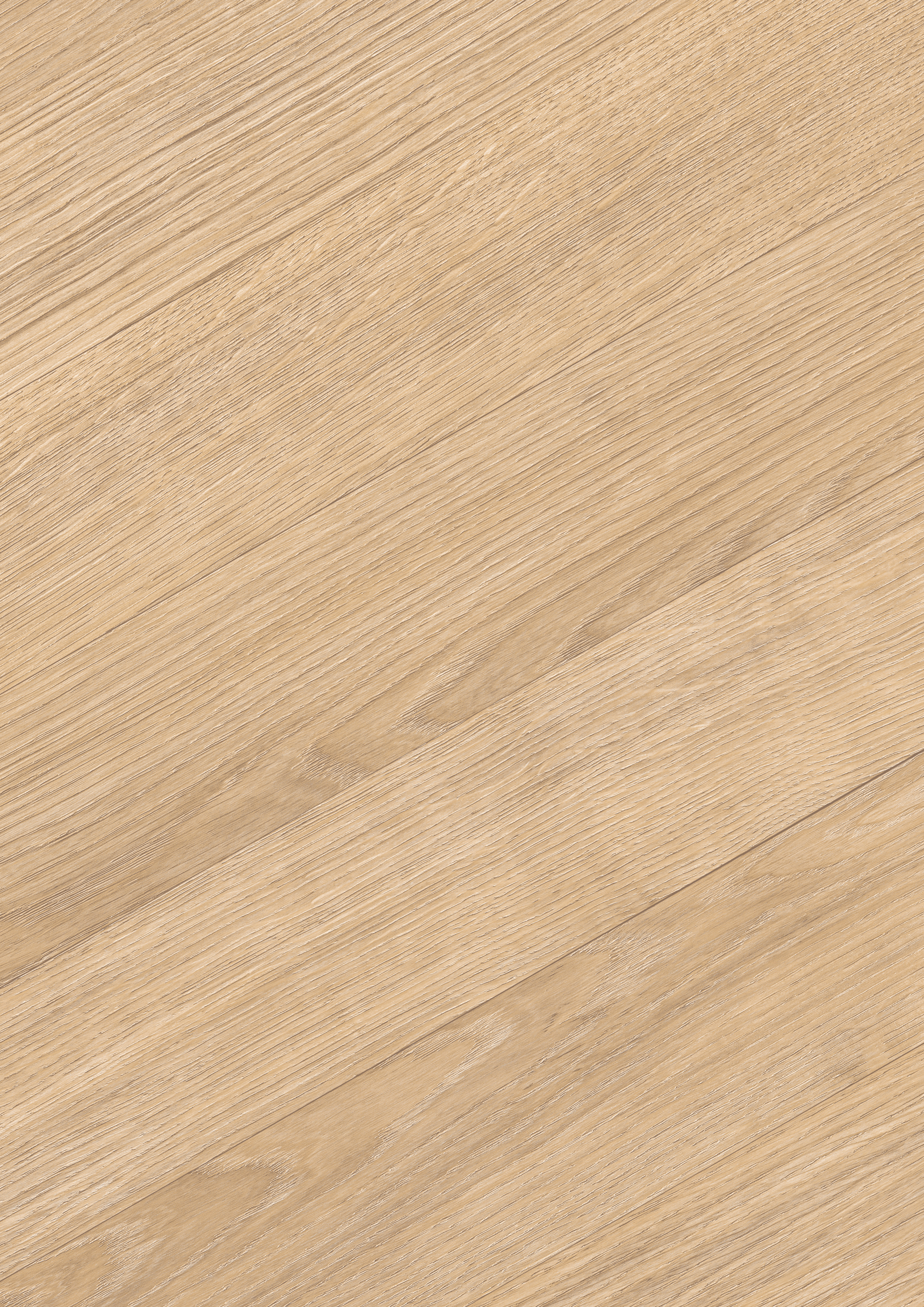 EL290F_STF4_kingsize_detail_10DE_flo