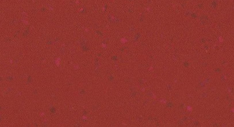 Salle du patrimoine 8634