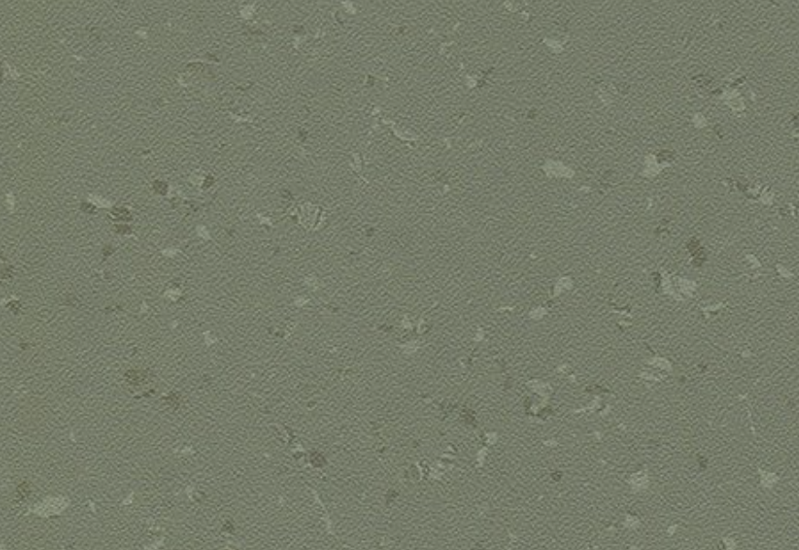 Estragon séché 8644