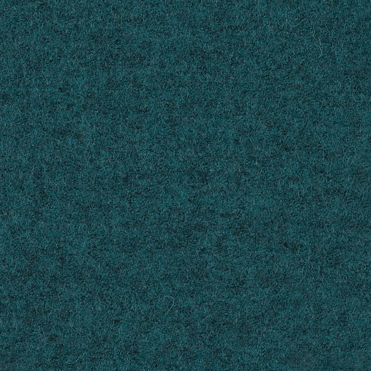 focus_melange_screen_66410