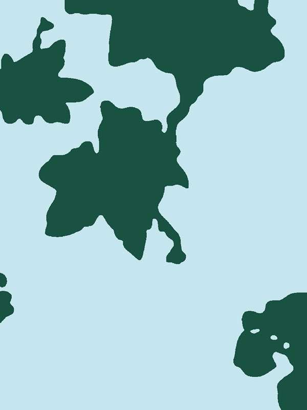 2834 ivypaola navone