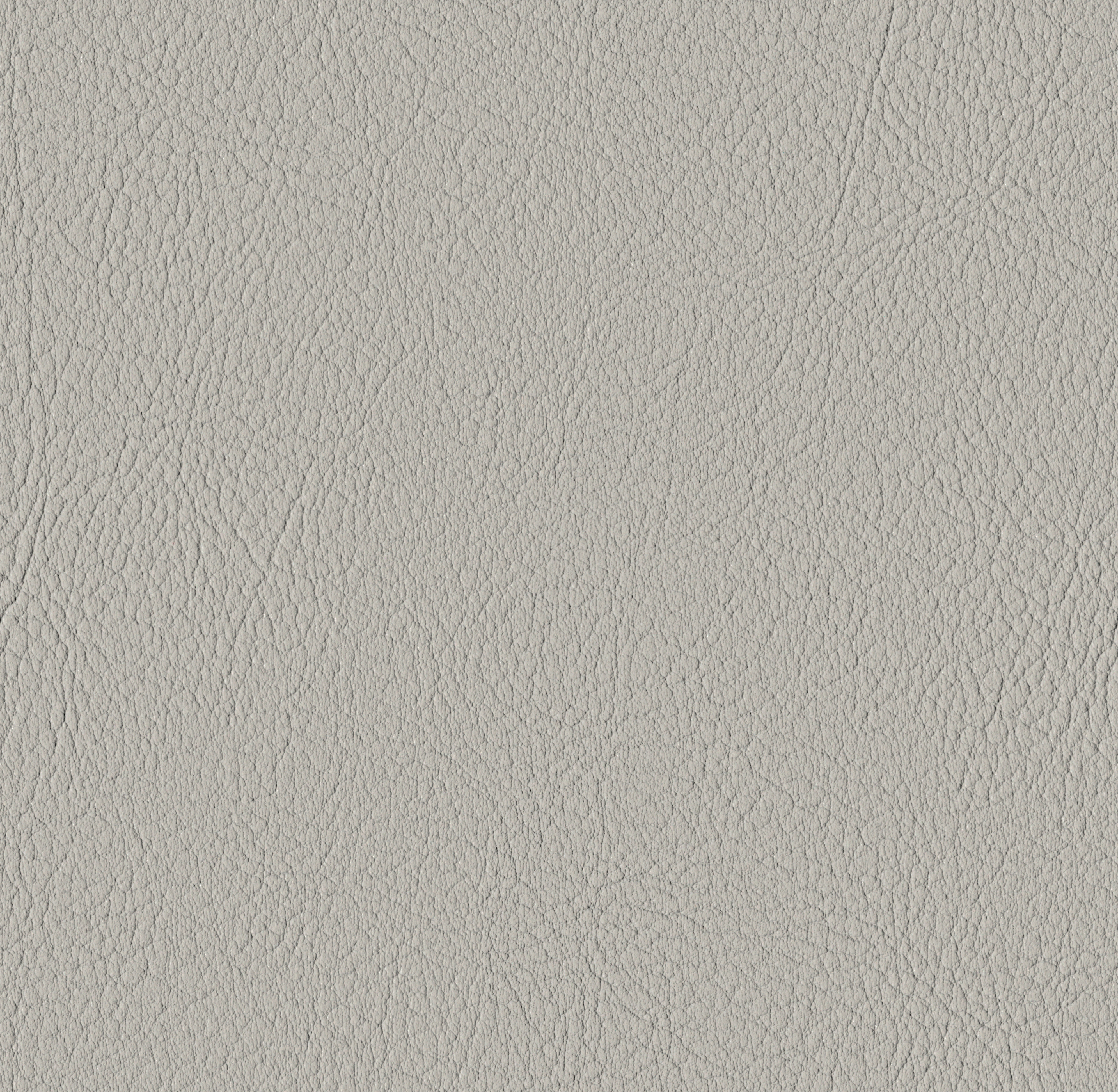 Tileable image - Auster