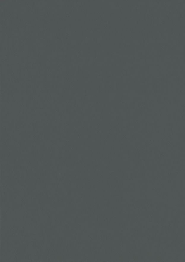 Gris Basalte RAL 7012 (Lisse)
