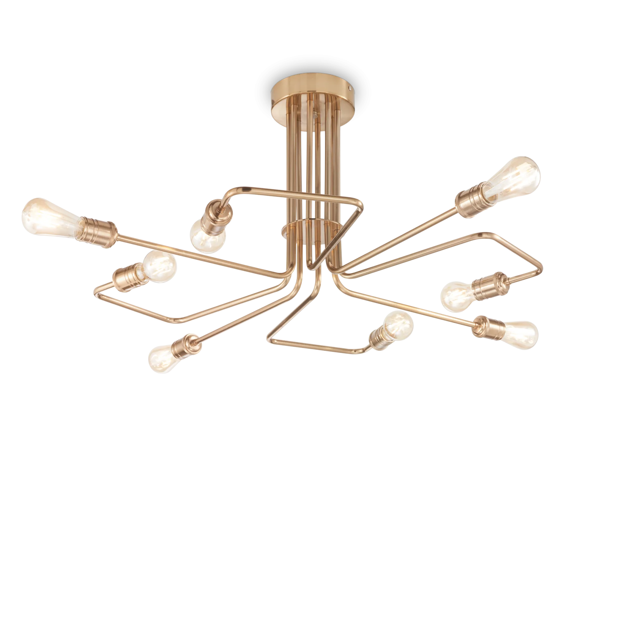 160313_WEB001_TRIUMPH_PL8_OTTONE