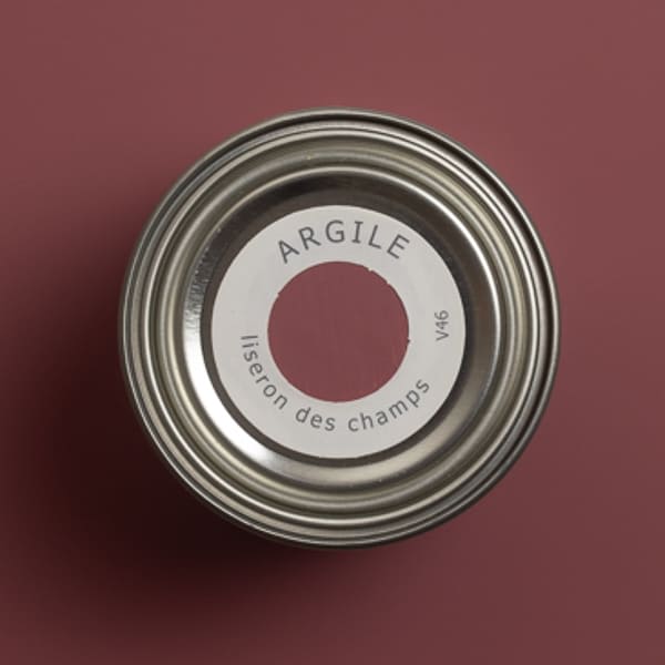 argile_peinture-tmvv46-teinte-liseron_des_champs-600_600