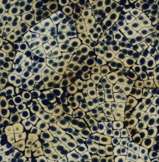 Eggshell Snakeskin Variegated, Sapphire Blue 01-1025-0000-1 jpg