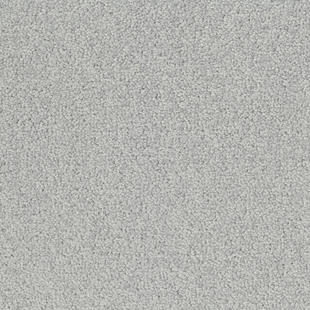 LRV Palatino Ecobase B359 2502