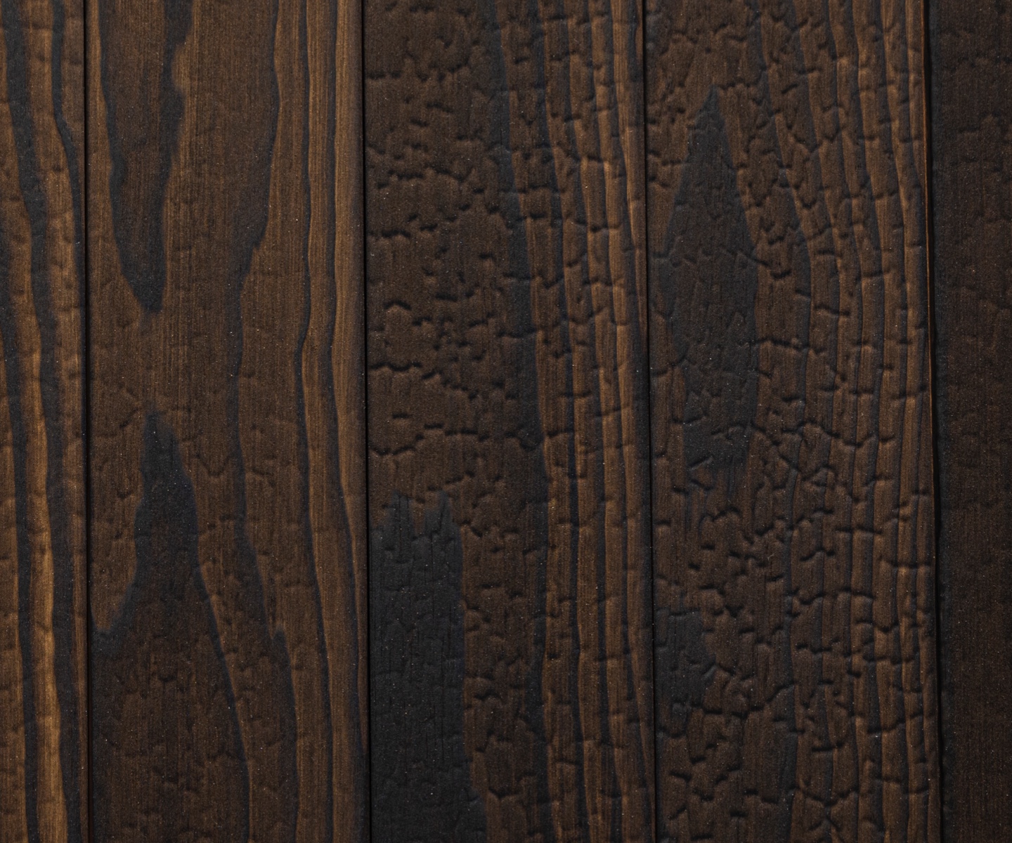 bois-brule-accoya-noirdebrun-2