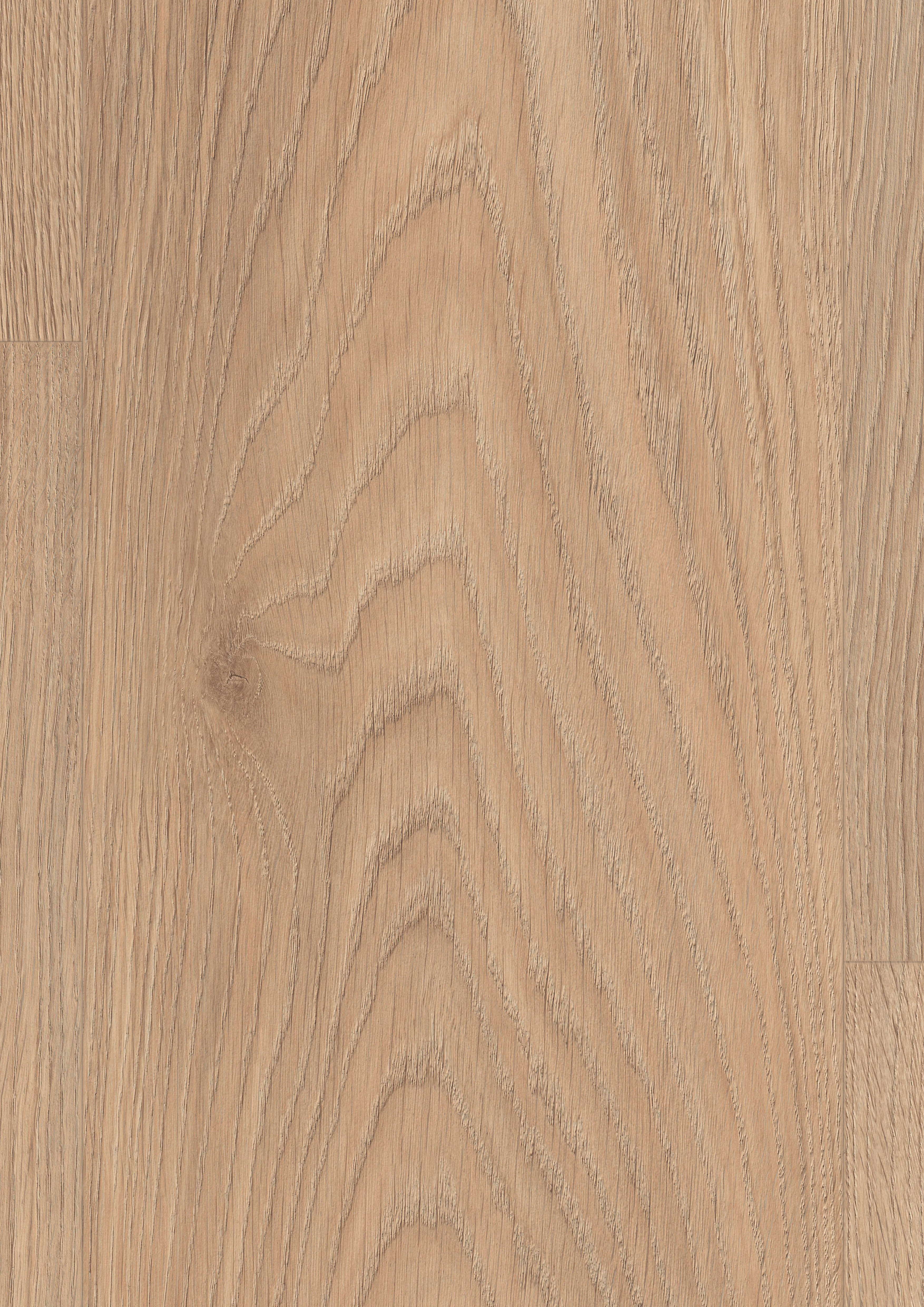 EDF188_STD8_large_wv4_detail_10DE_flo