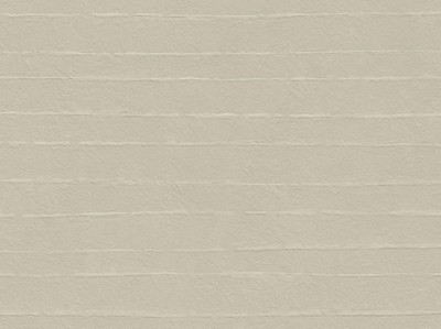 AtlasConcorde_BoostNaturalPro_Macro_Cinder3DRice_Wall