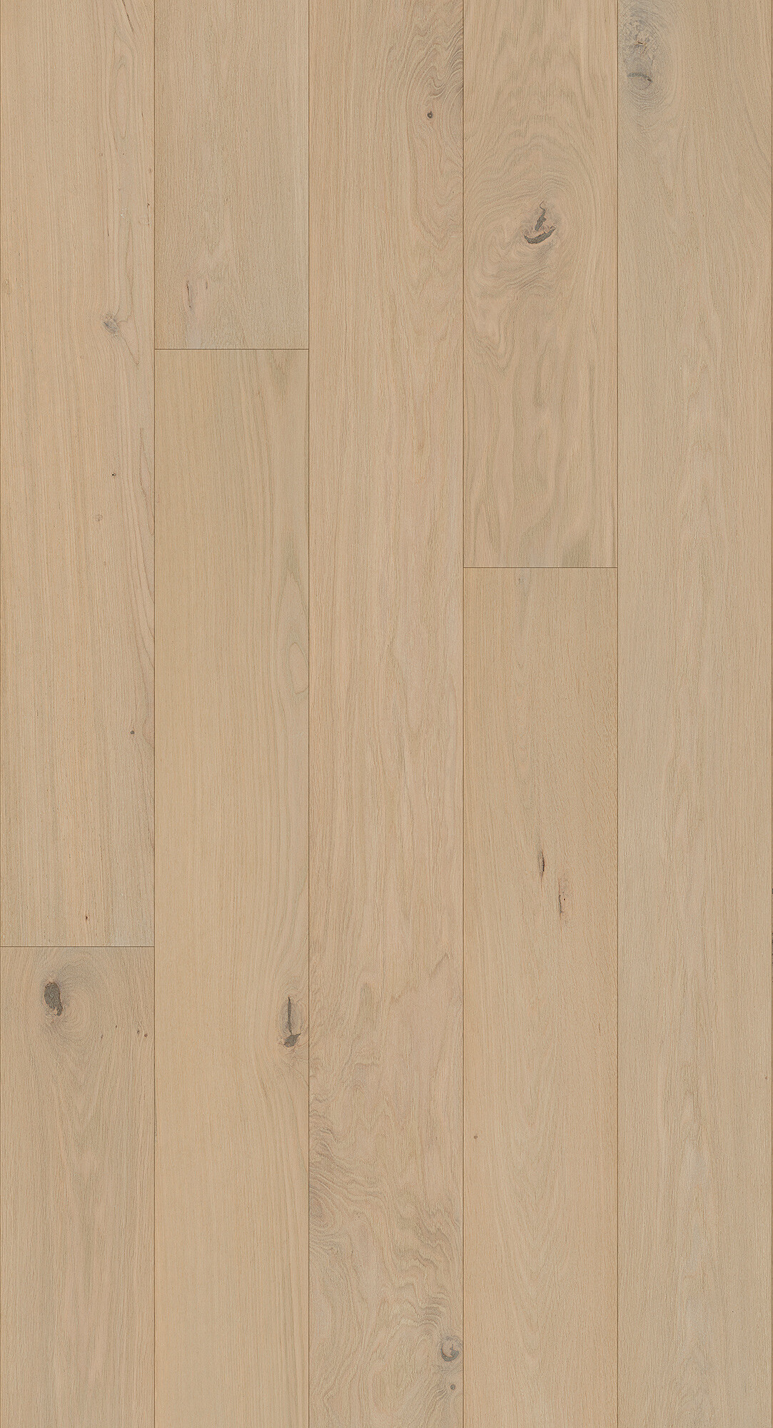 cabbani-cda-dali-hr_1742814366