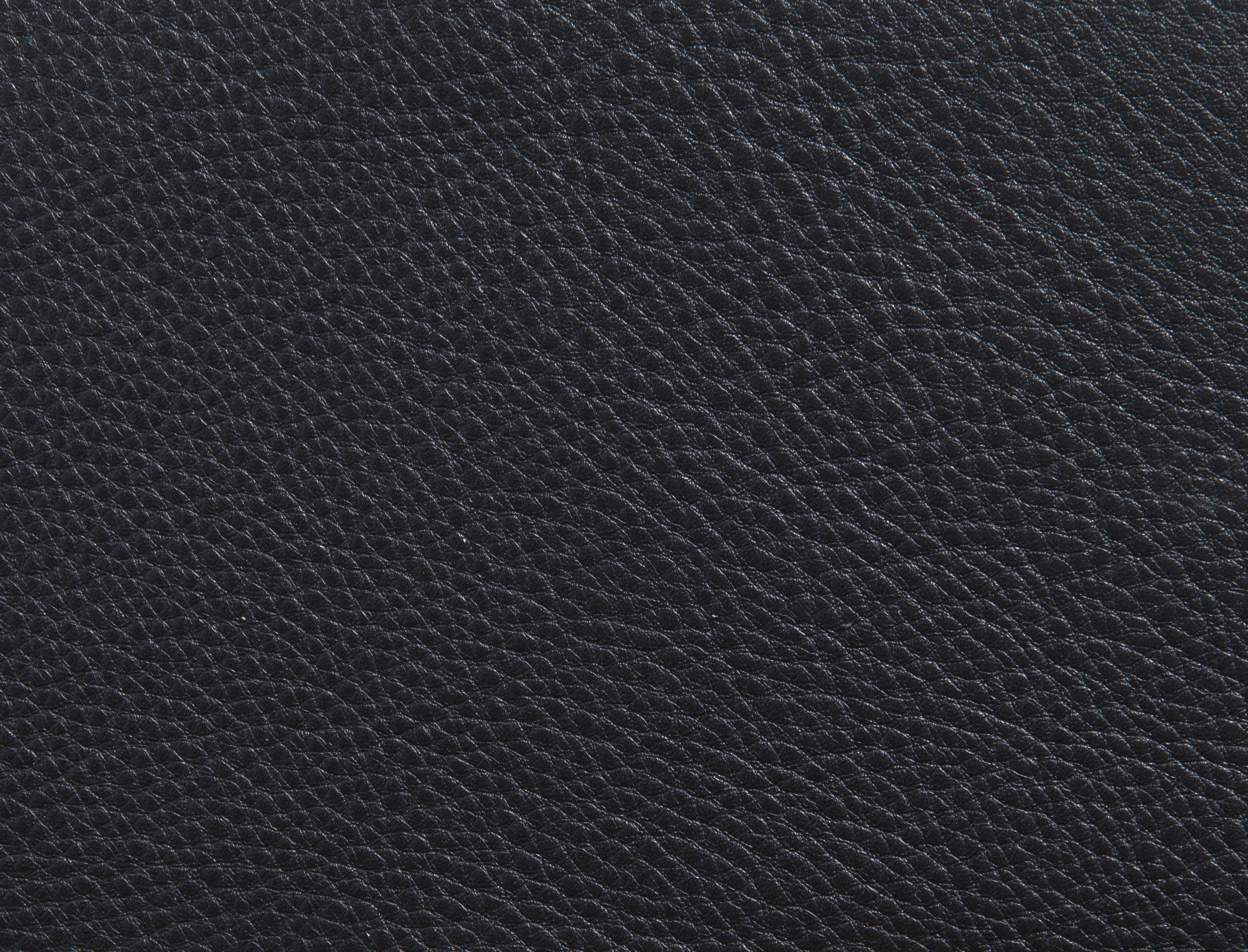 ElmorusticalVIII_99991