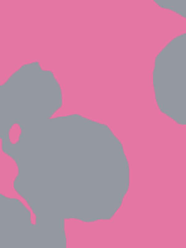 2824 fiore poppaola navone