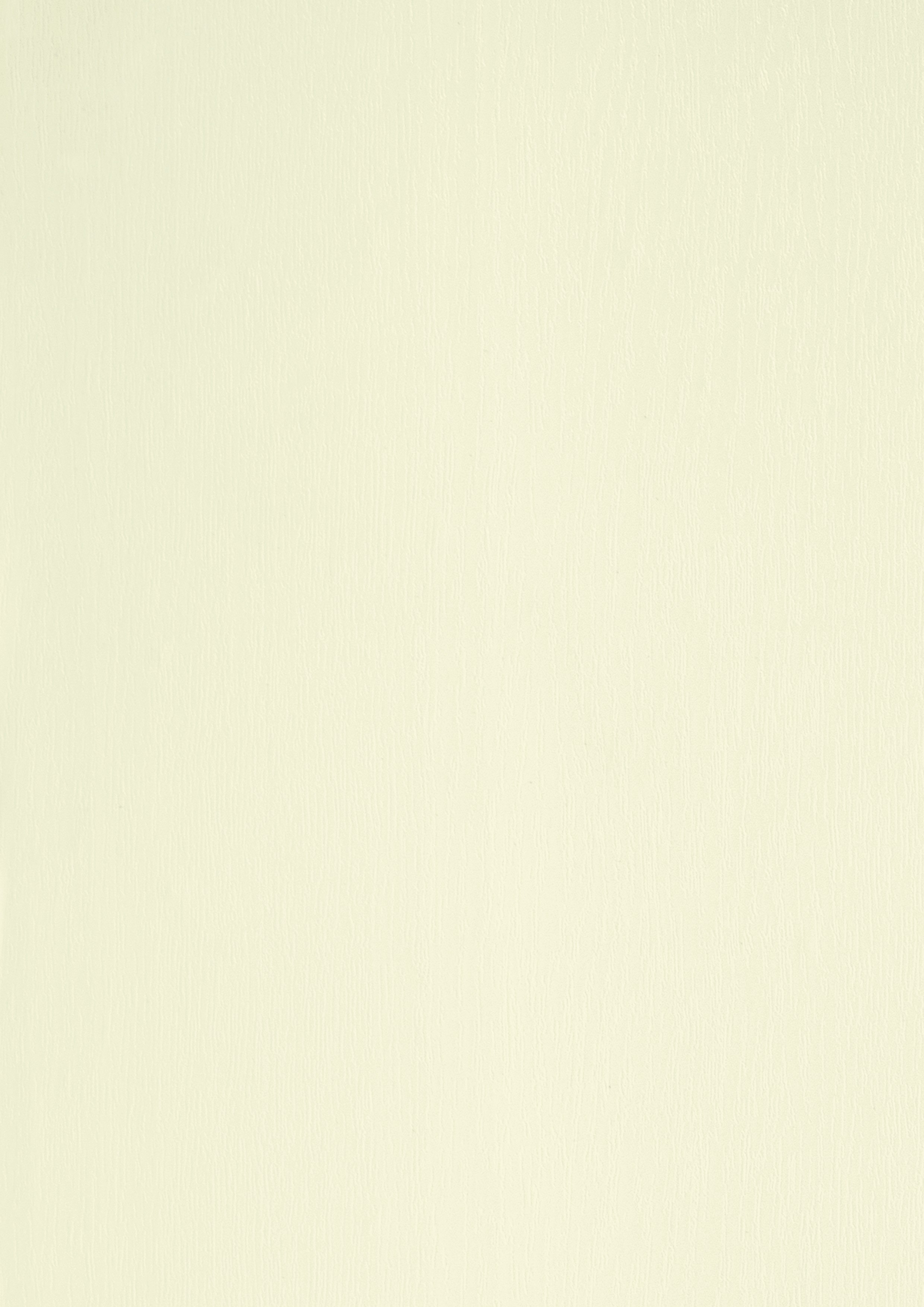 Blanc RAL 9010 (Veiné)