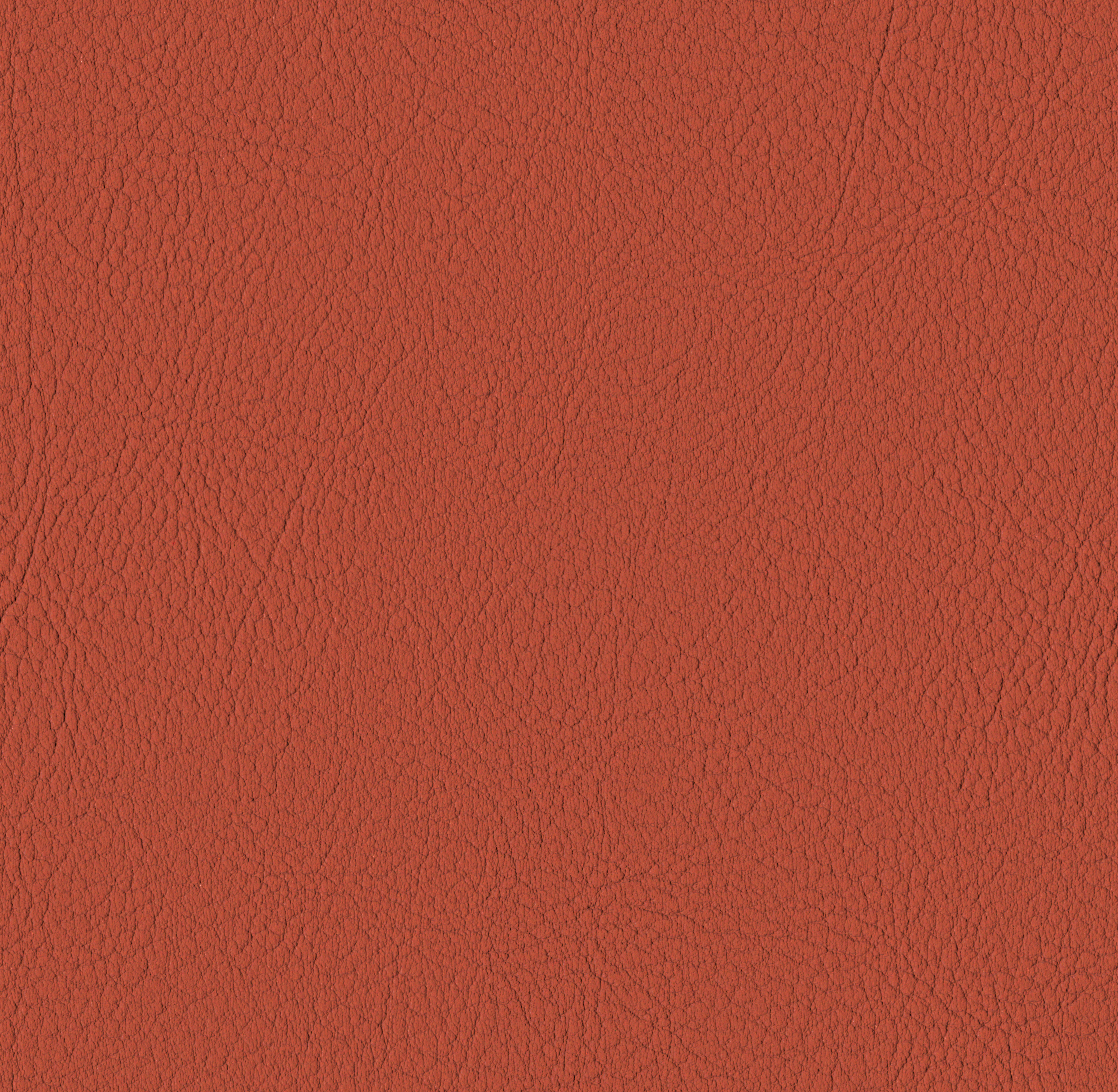 Tileable image - Nectarine