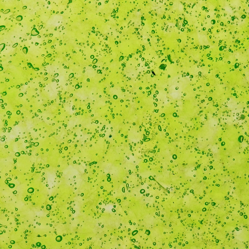 PS1306-TRANSLUCENT-NEON-GREEN