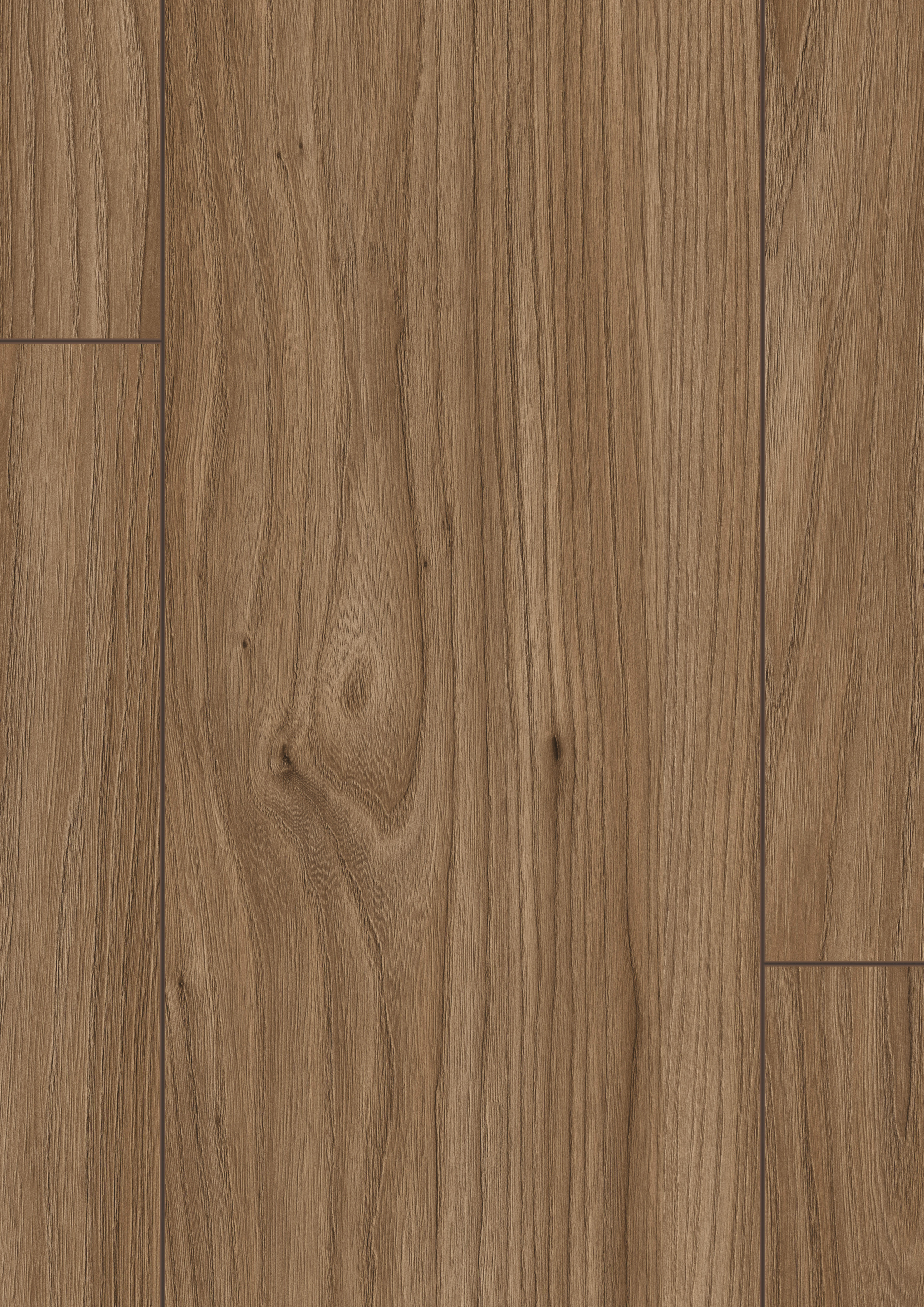 EL2526_ST41_classic_wv4_detail_10DE_flo