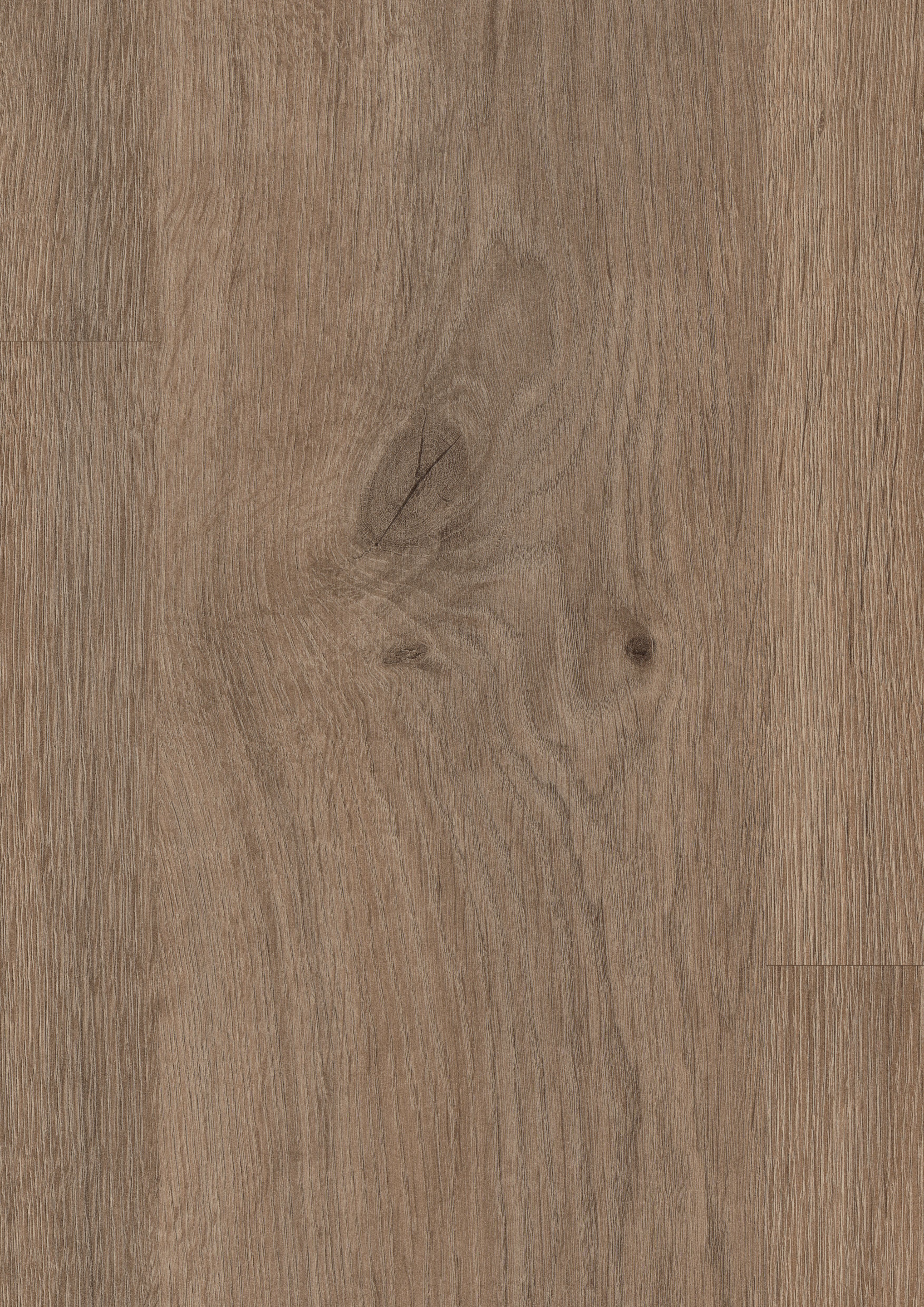 EL2835_STF1_classic_detail_10DE_flo