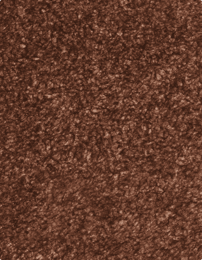 Translucent Bronze
#PS1302