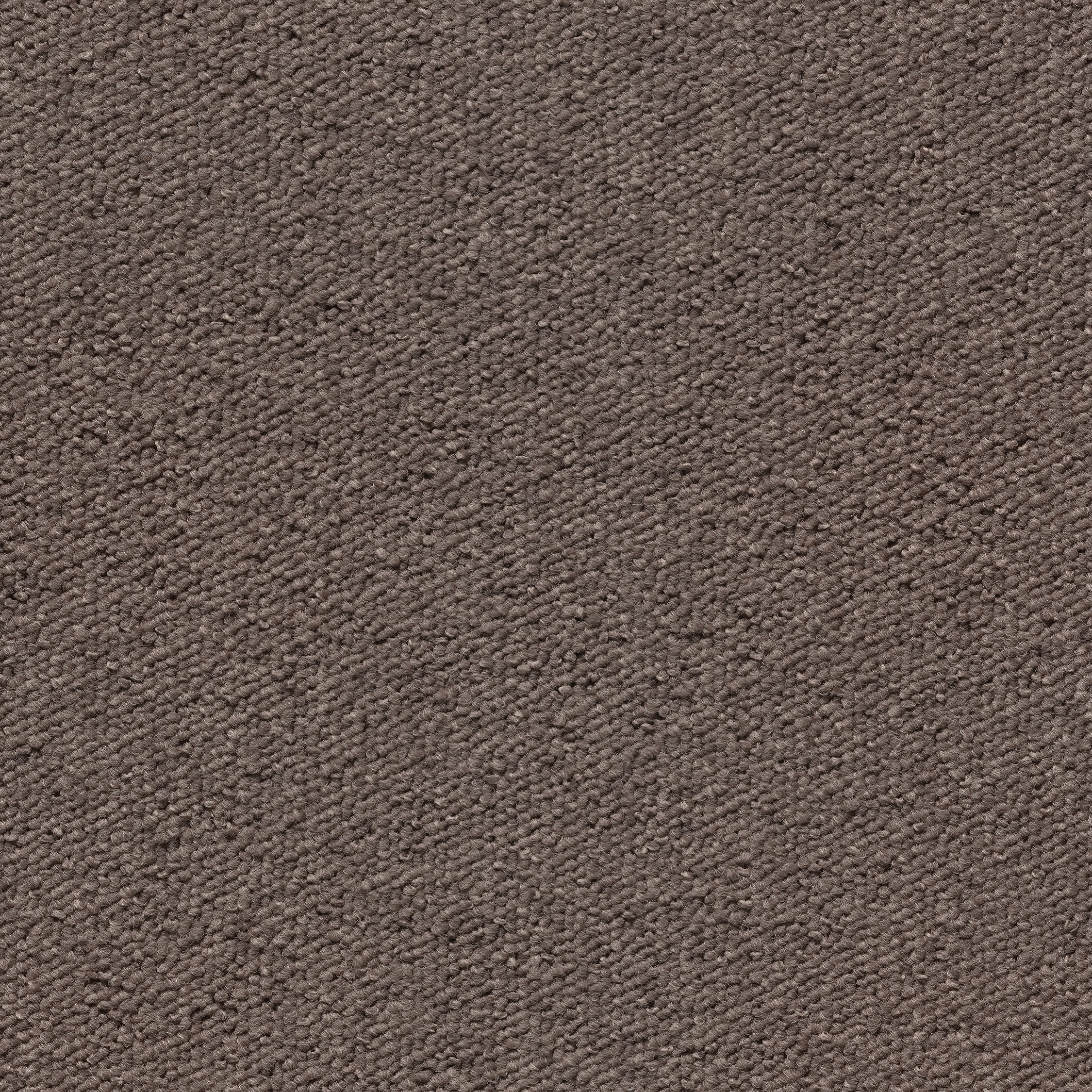 092314048 - Light Brown