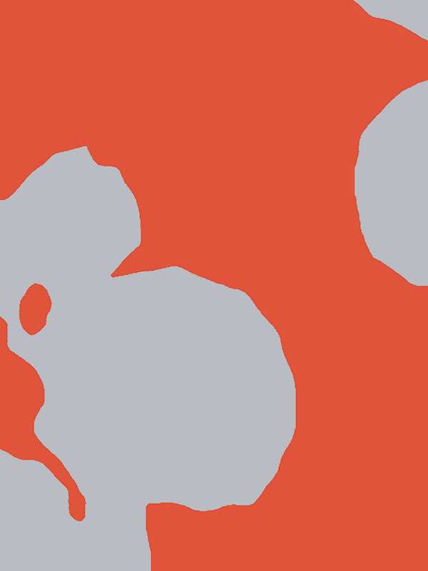 2823 fiore poppaola navone