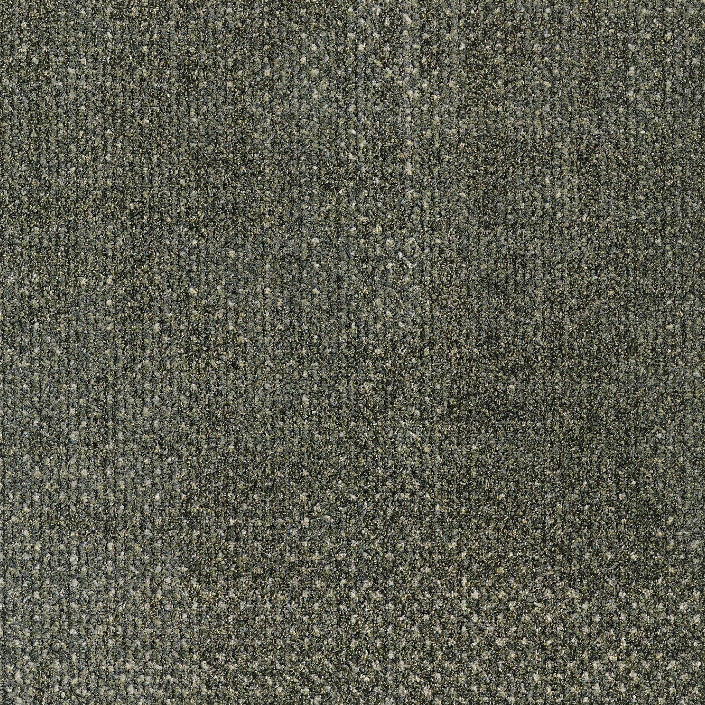 0865024 - Seed Dark Green 5595