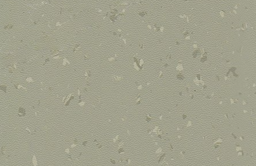 Sauge du jardin 8643