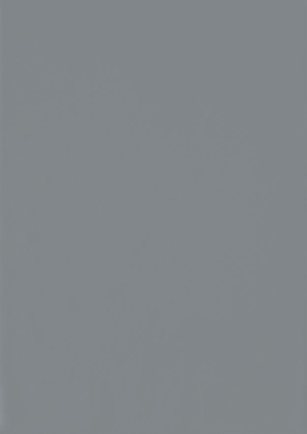 Gris Argenté lisse (RAL 7001)