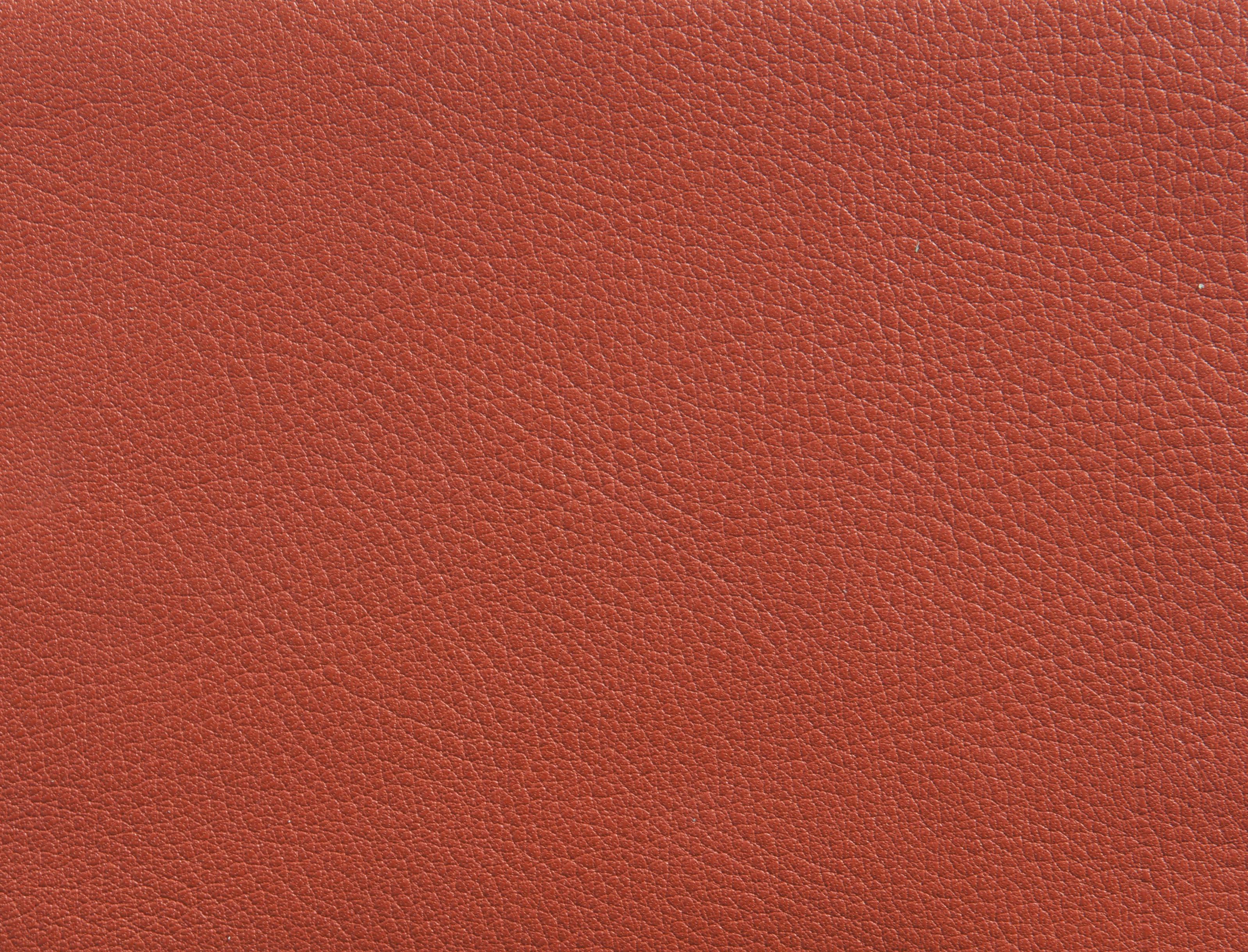 ElmorusticalVIII_53014