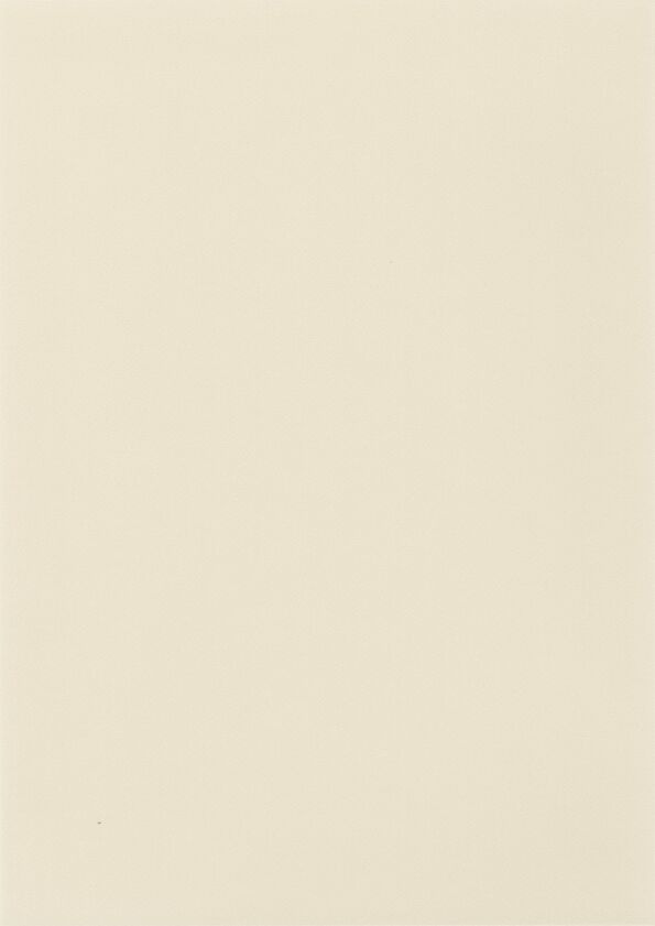 JPG 72 dpi-Taralay Impression 0848 Uni Matt White