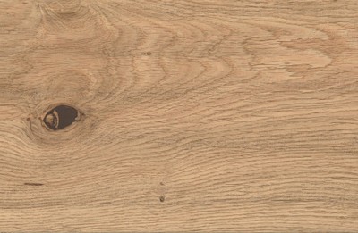 AtlasConcorde_LOG_IconOak_Macro