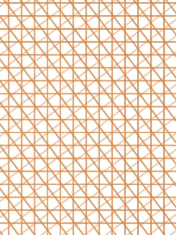 6415 mono orange  light