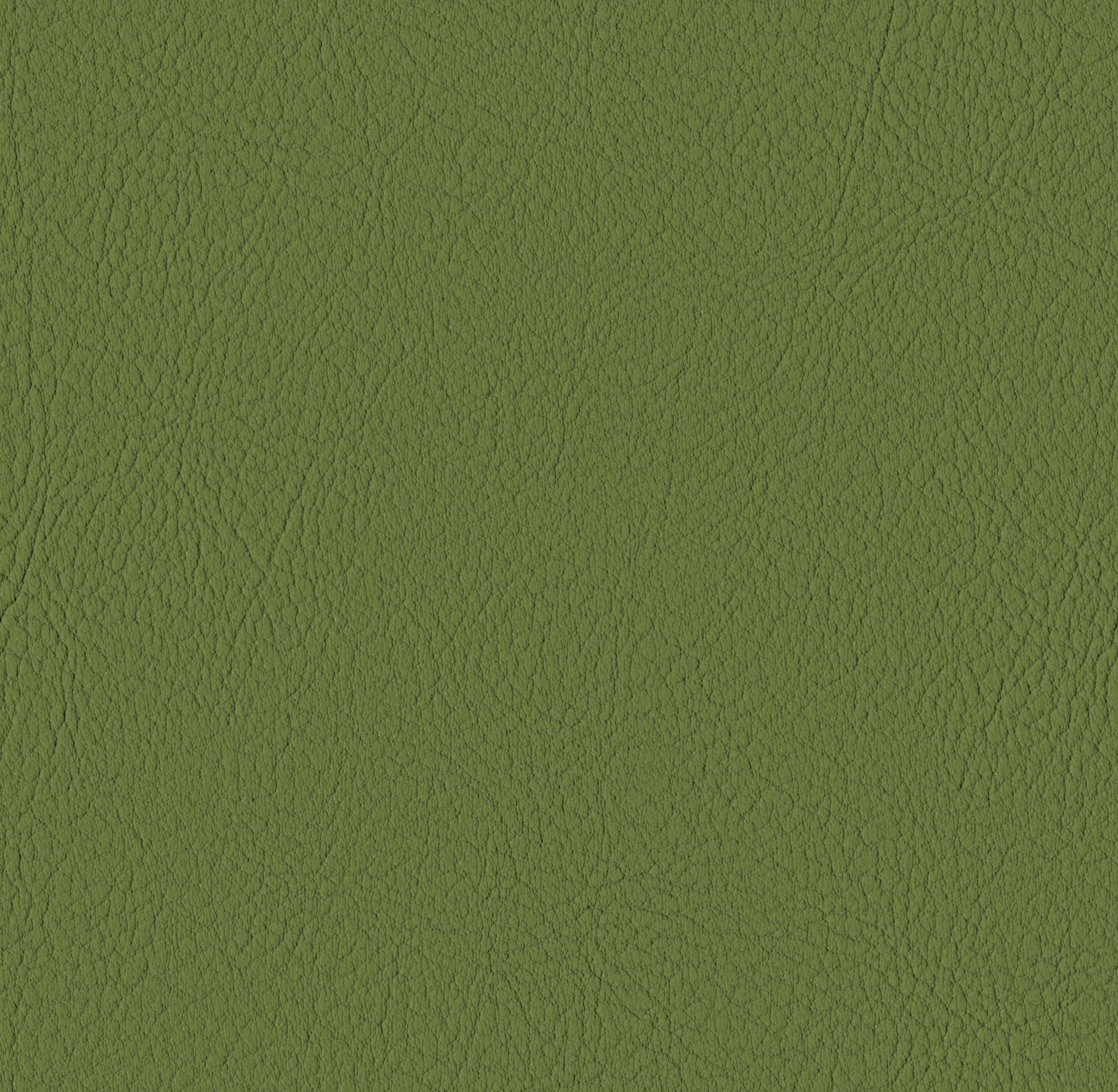 Tileable image - Olive