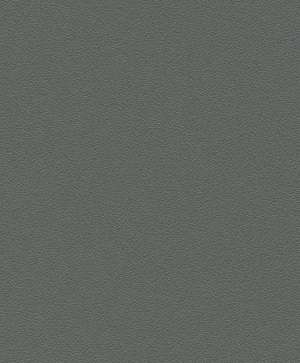 Gris Basalte RAL 7012 (Sablé/Fine Structure)