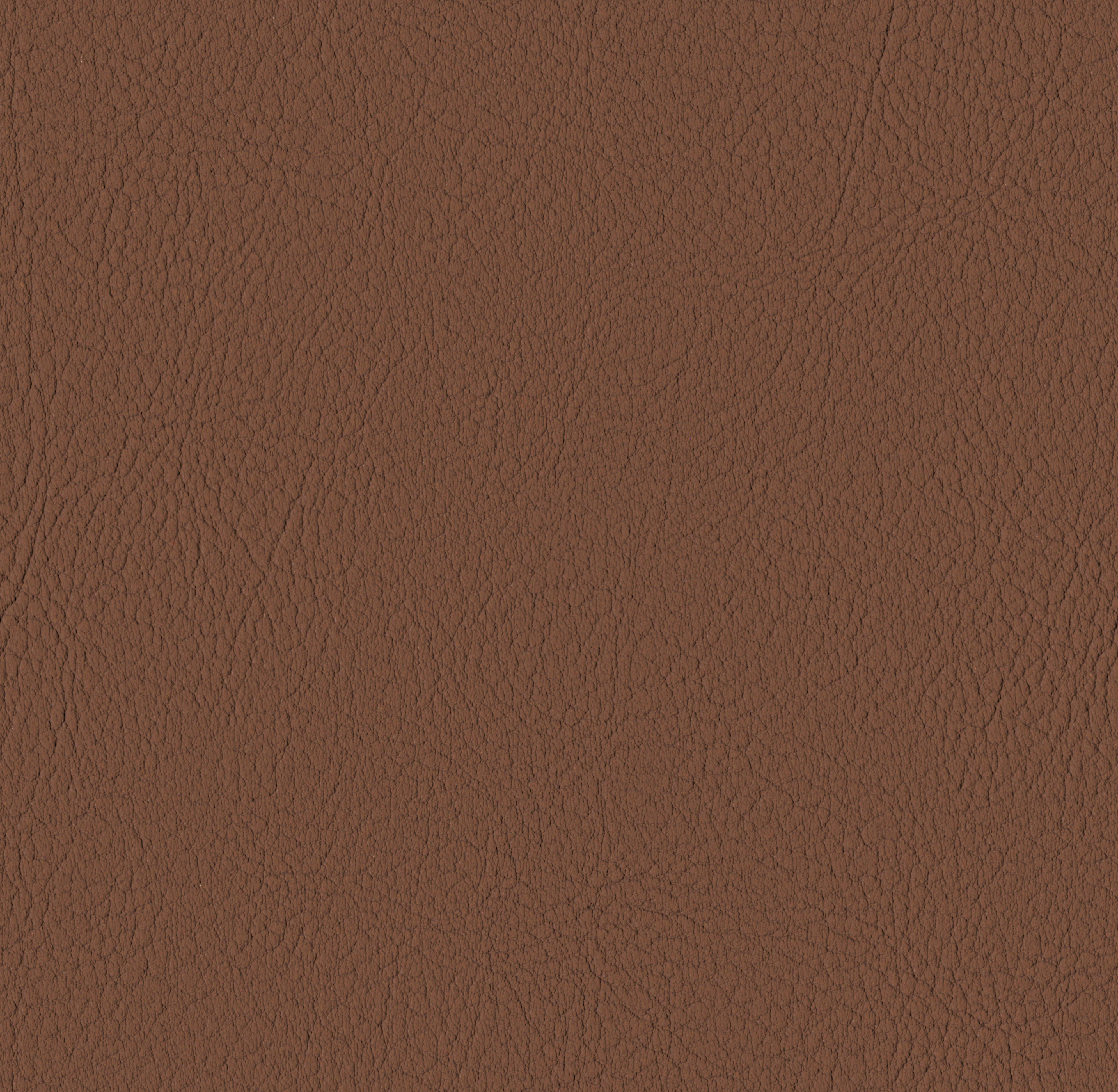 Tileable image - Chestnut