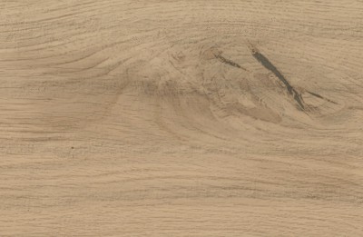 AtlasConcorde_LOG_MoonOakForest_Macro