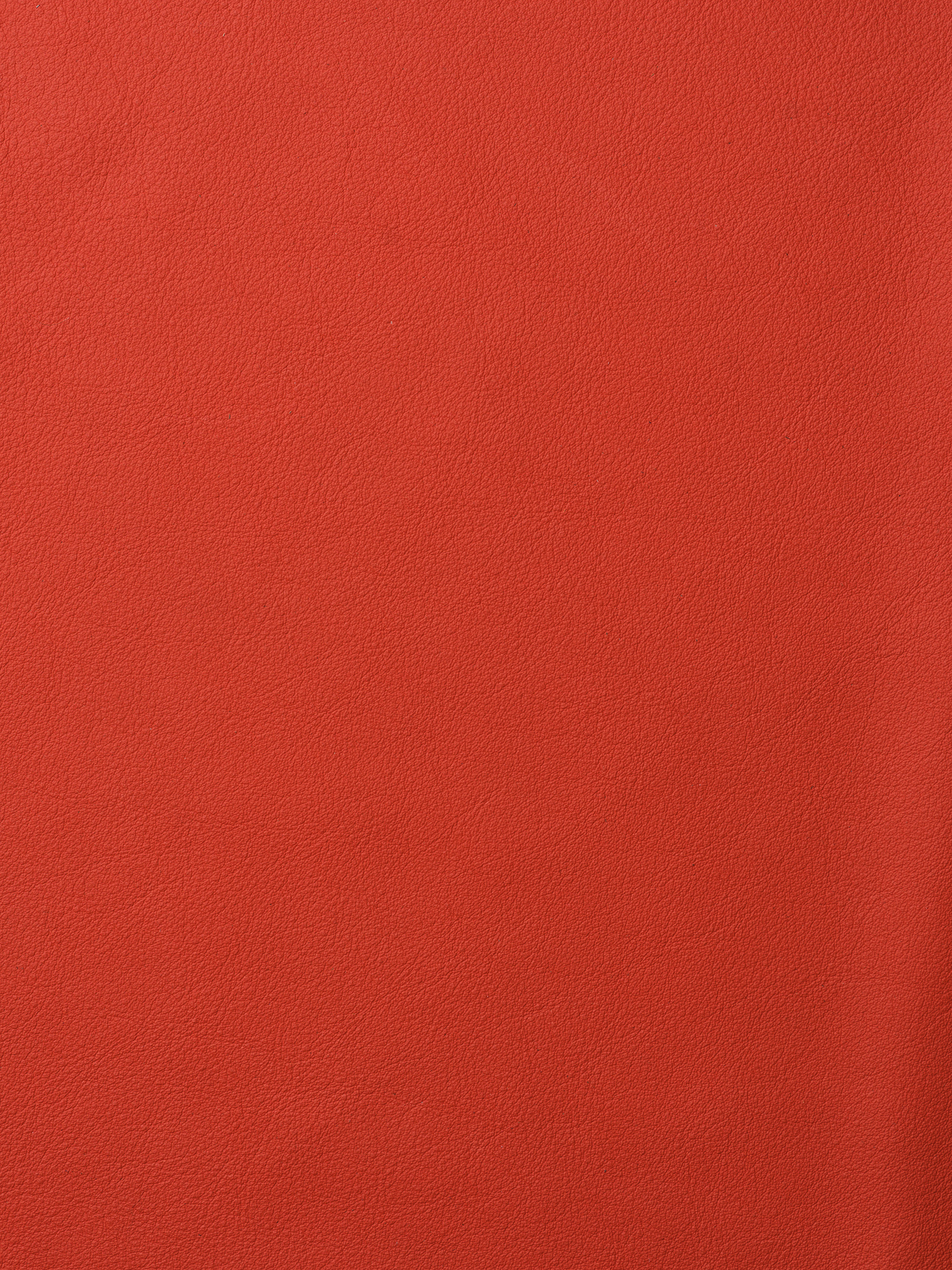 ELMOLEATHER_ELMOSOFT_45043