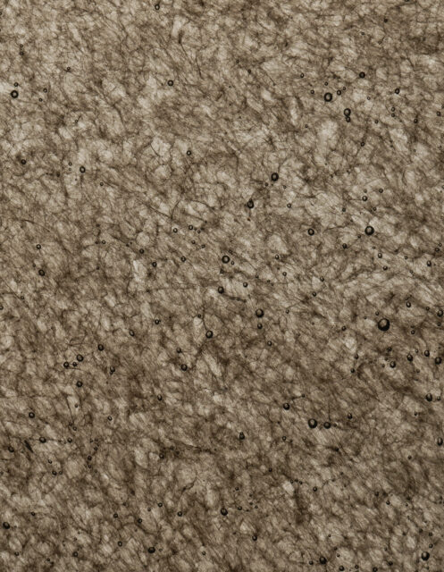 Translucent Black
#PS1309