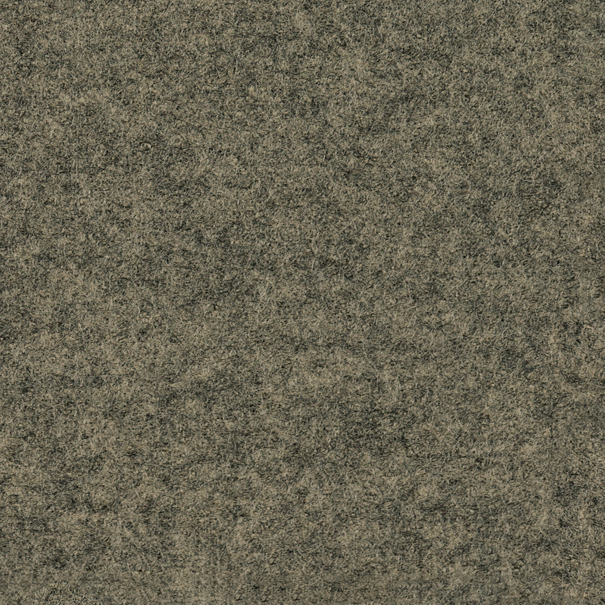 focus_melange_screen_61441