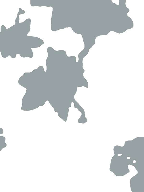 2827 ivypaola navone