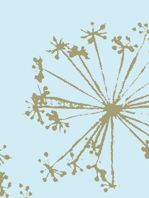 2833 neigepaola navone