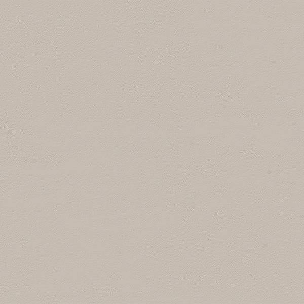 true_color_50x120_fossil-thumbnail-600x600-70