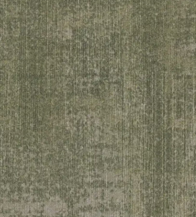 0901041 - Obscura Moss