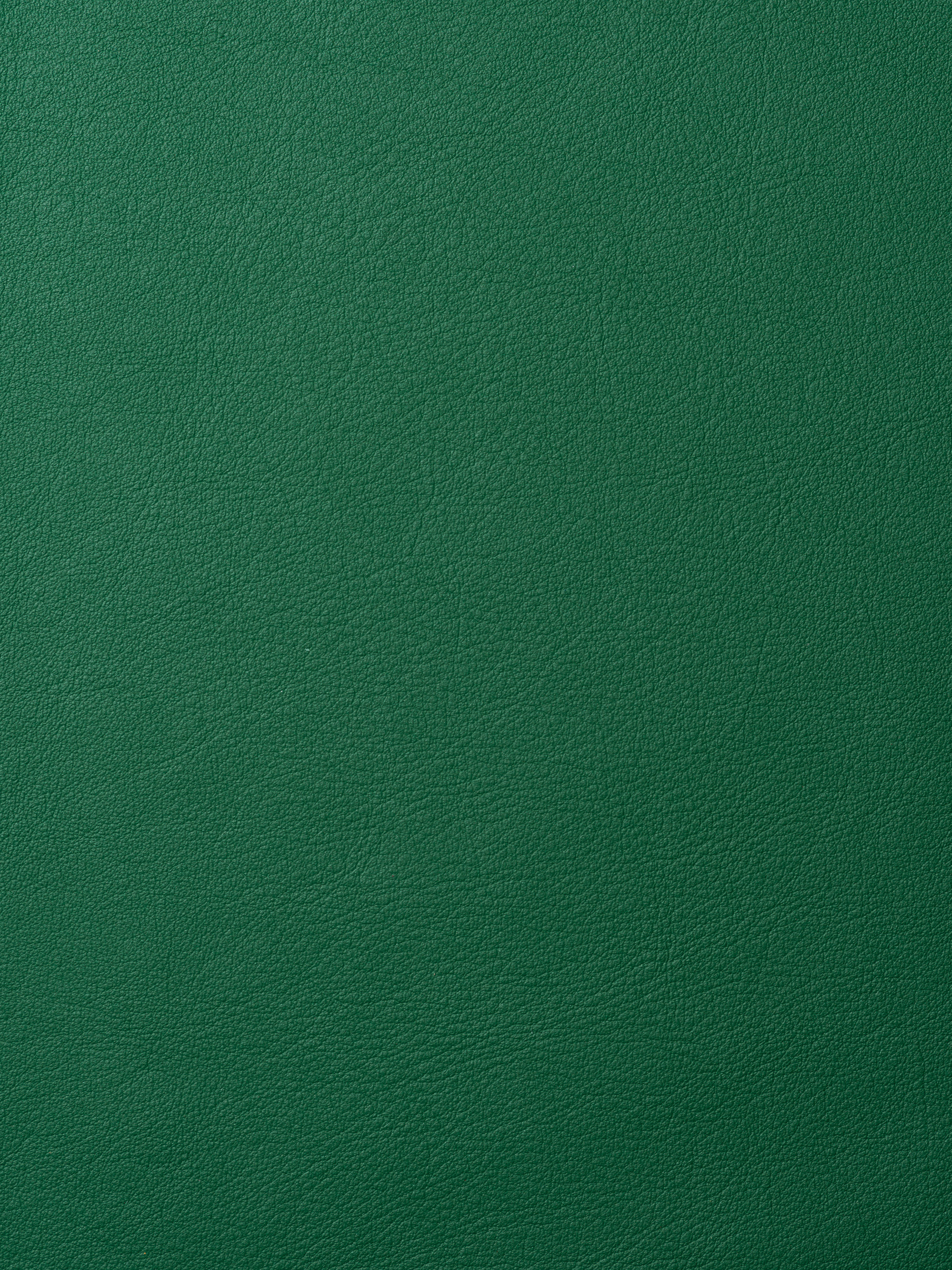 ELMOLEATHER_ELMOSOFT_88059