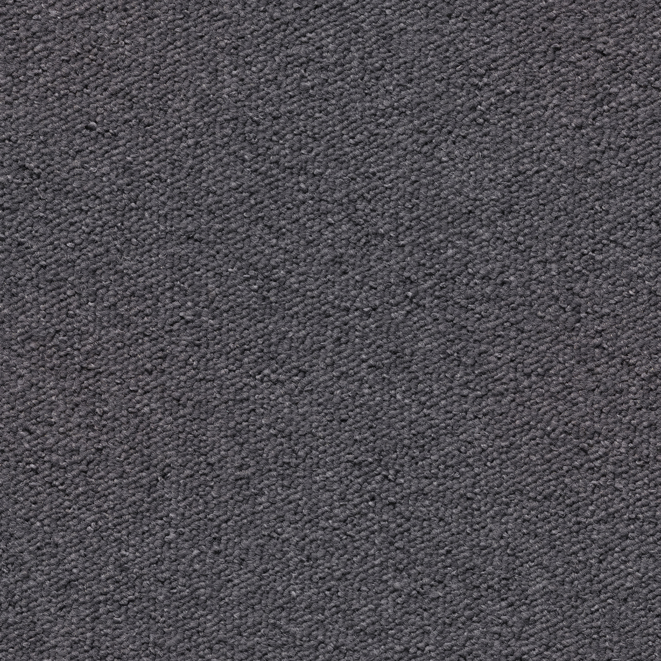 092377048 - Pure Grey