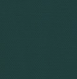 Clipso™ So Acoustic 495 AC - 4072 Vert Sapin