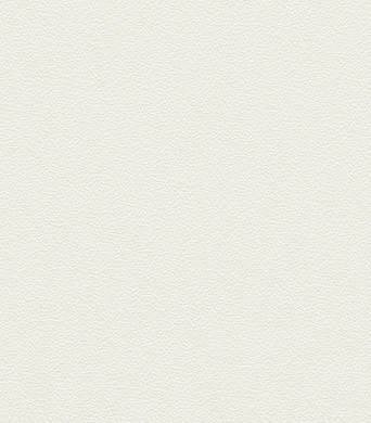 Blanc Sablé/Fine Structure (RAL 9016)