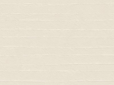 AtlasConcorde_BoostNaturalPro_Macro_Salt3DRice_Wall